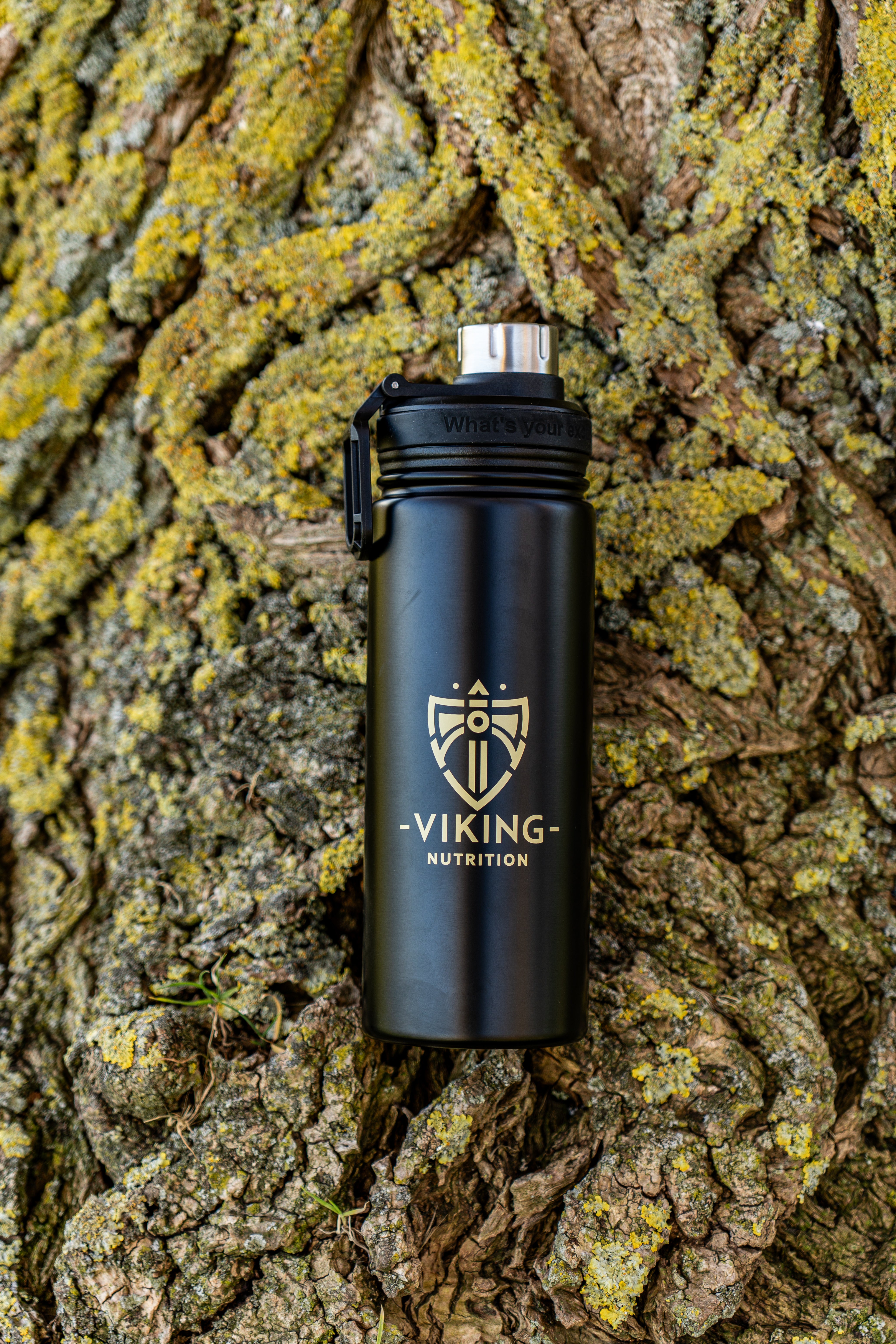 Stainless steel Viking Nutrition Drinking Bottle
